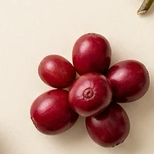 Reifung