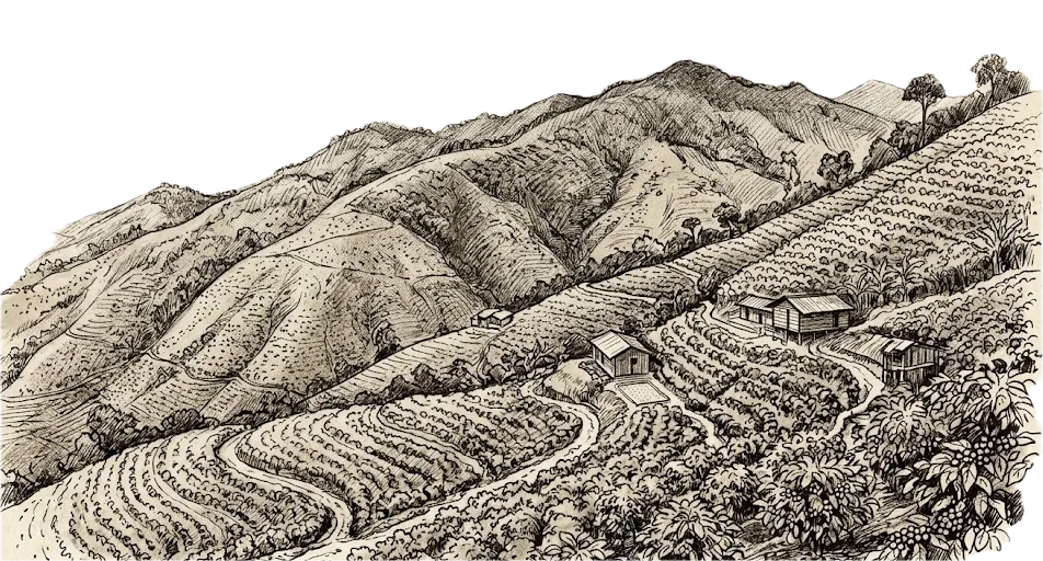Montañas del Tolima & Fincas de Altura