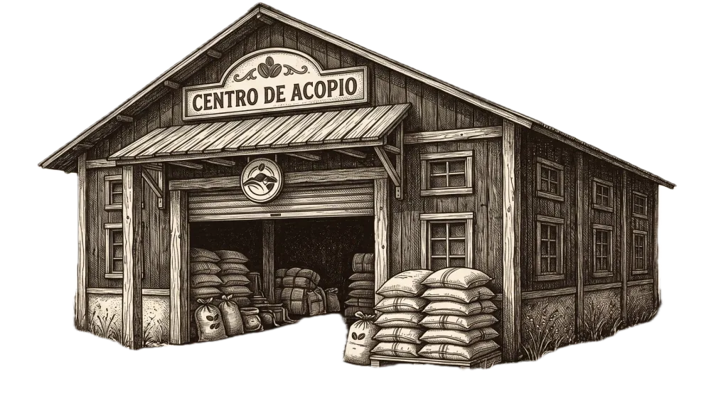 Beneficio Ecológico, Secado Solar & Acopio